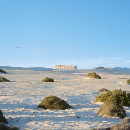 ホテル Riu Oliva 3*