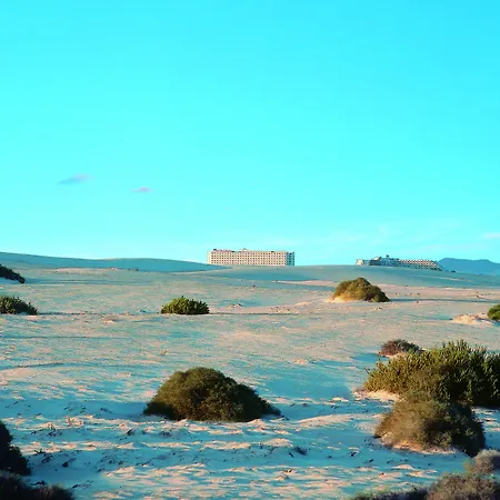 Riu Oliva 3*