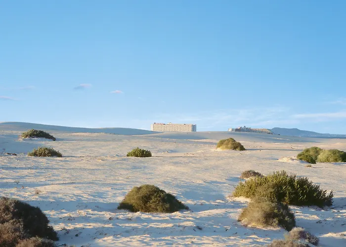 Szálloda Riu Oliva 3*